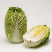 Yellow inside  prickle cool tolearant  vegetable bakchoy pakchoy cabbage seeds